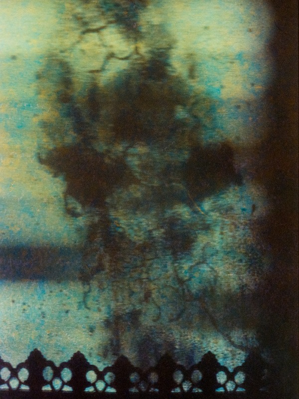 Forest for the Trees