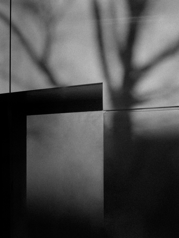 Symbiotic Compositions