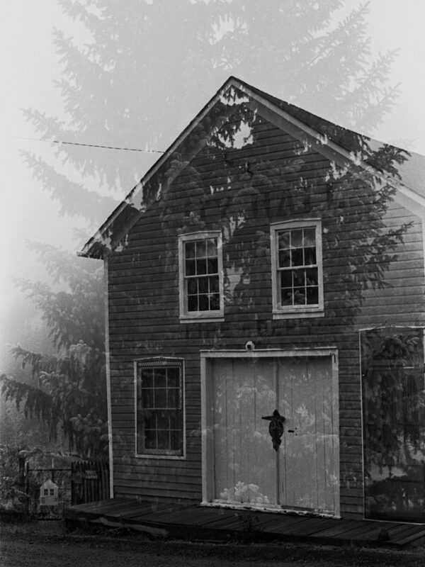 Labyrinth of the Forgotten